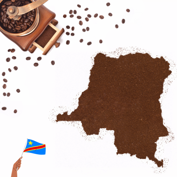 Cafe Congo ilustracion