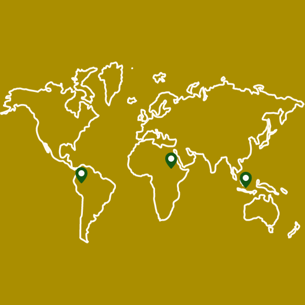 El Mundo en tu taza Worldwide Coffee Pack mapa