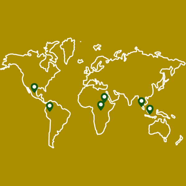 Pack Mundo Cafetero Experiencia Global mapa