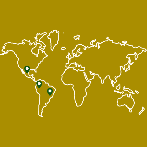 Pack de Cafes Selectos Sudamerica Premium mapa