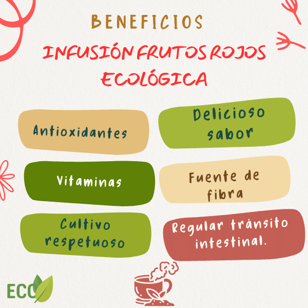 infusion-Frutos-Rojos-Ecologica-propiedades